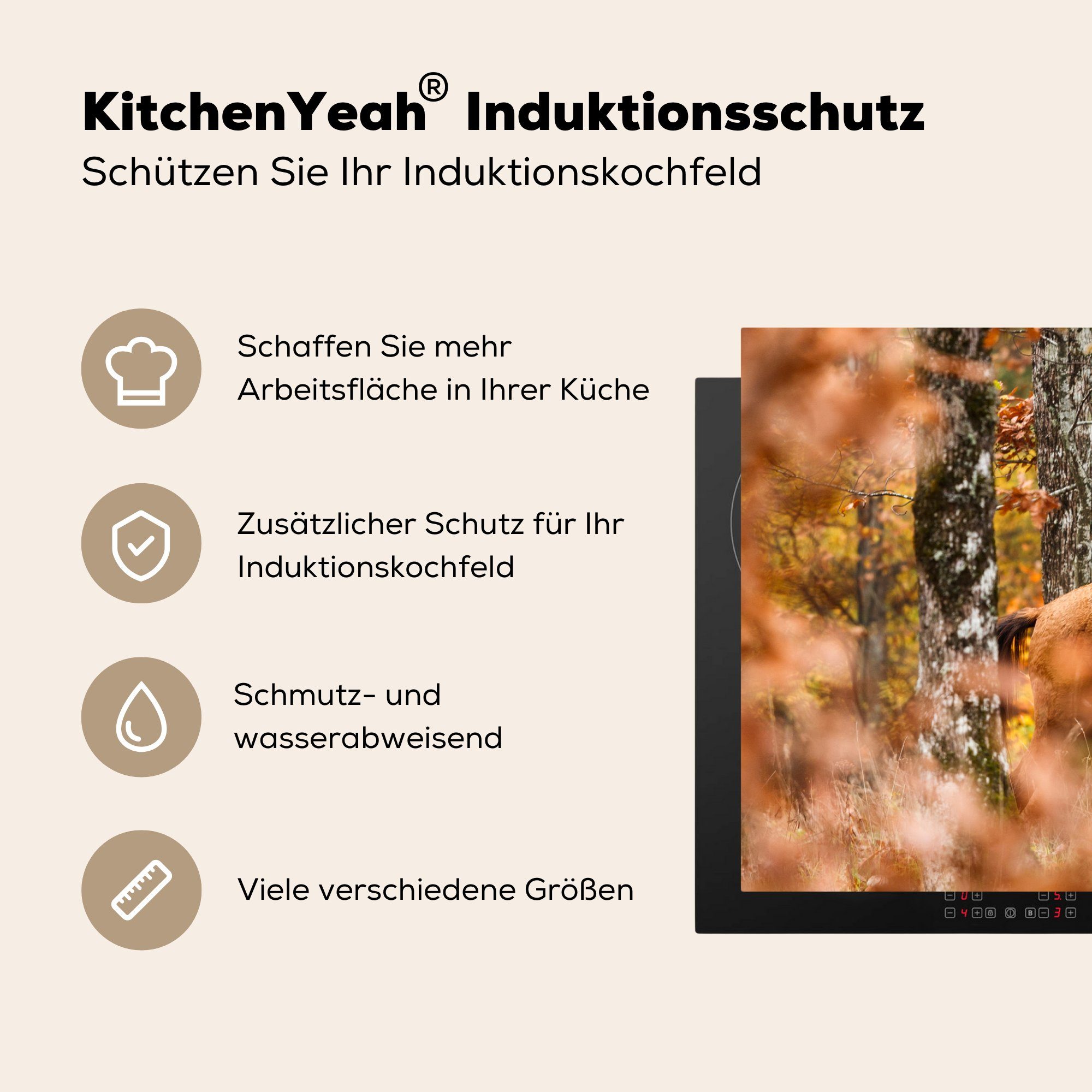 Herdblende-/Abdeckplatte cm, die - 81x52 Wald Ceranfeldabdeckung Herbst, Vinyl, für MuchoWow küche, - tlg), (1 Pferd Schutz Induktionskochfeld