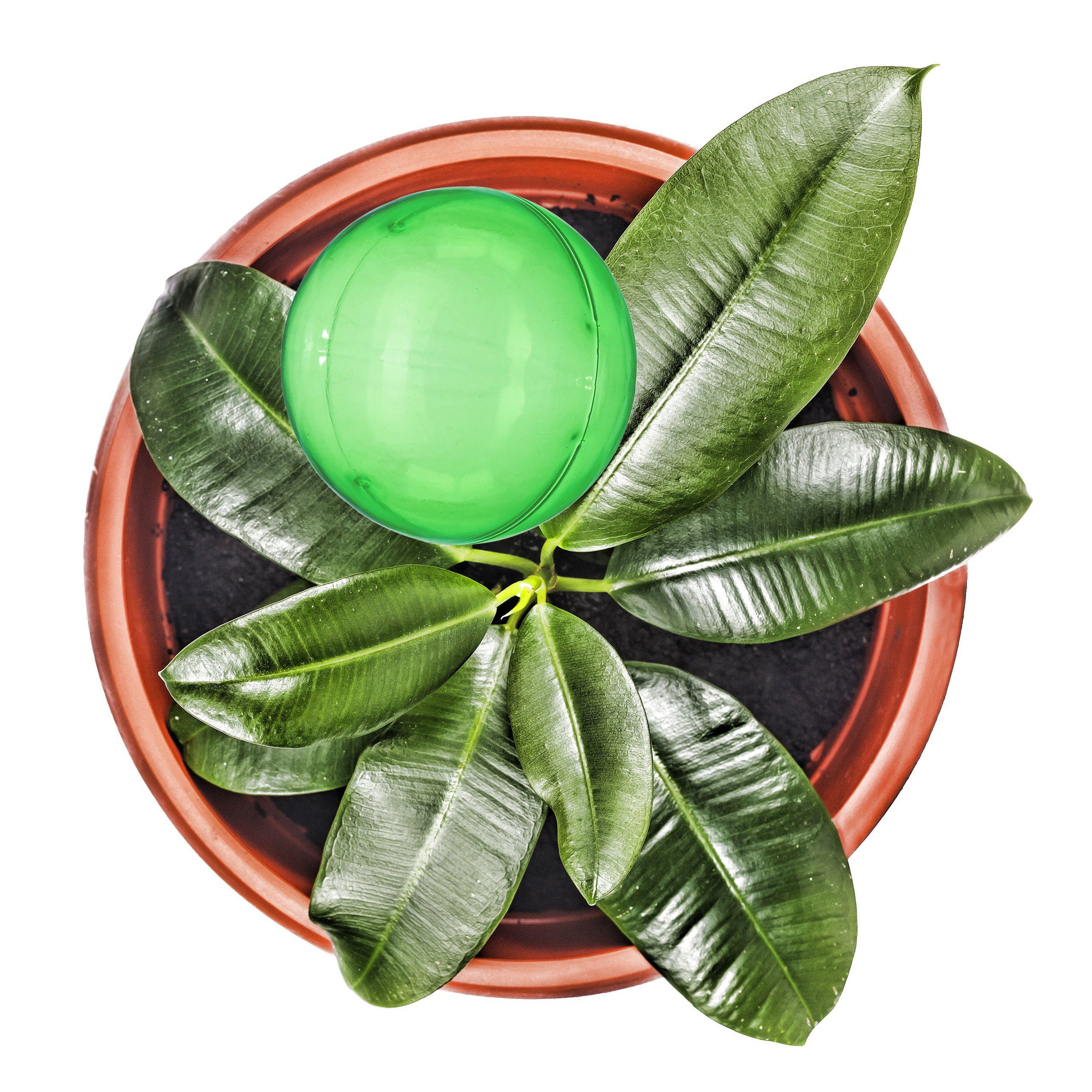 relaxdays Dripper 12 x Watering Globes Transparent