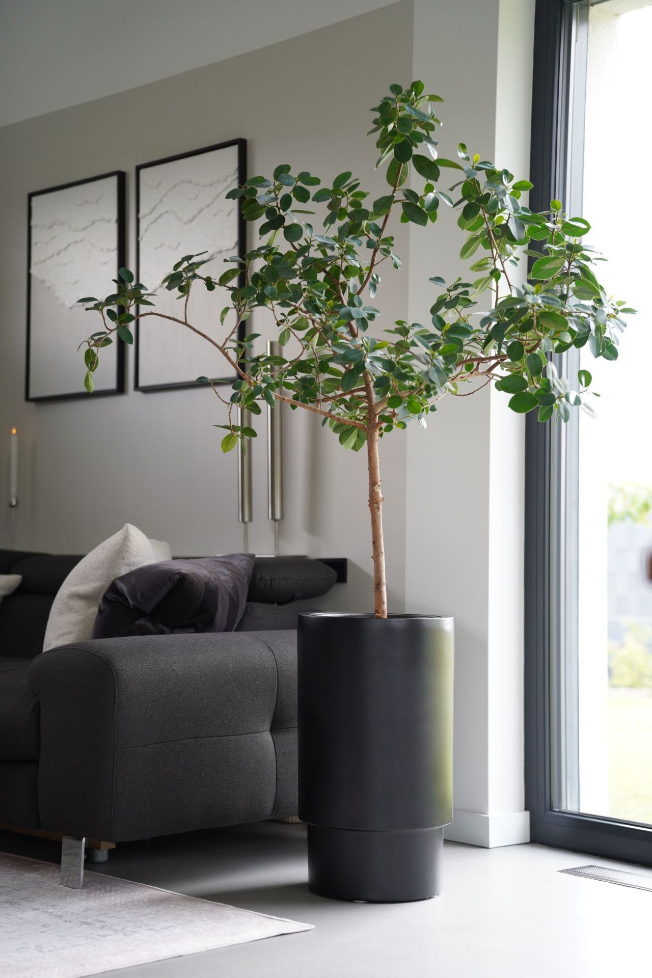 VIVANNO Blumentopf Fiberglas ESCADA Rund - günstig online kaufen