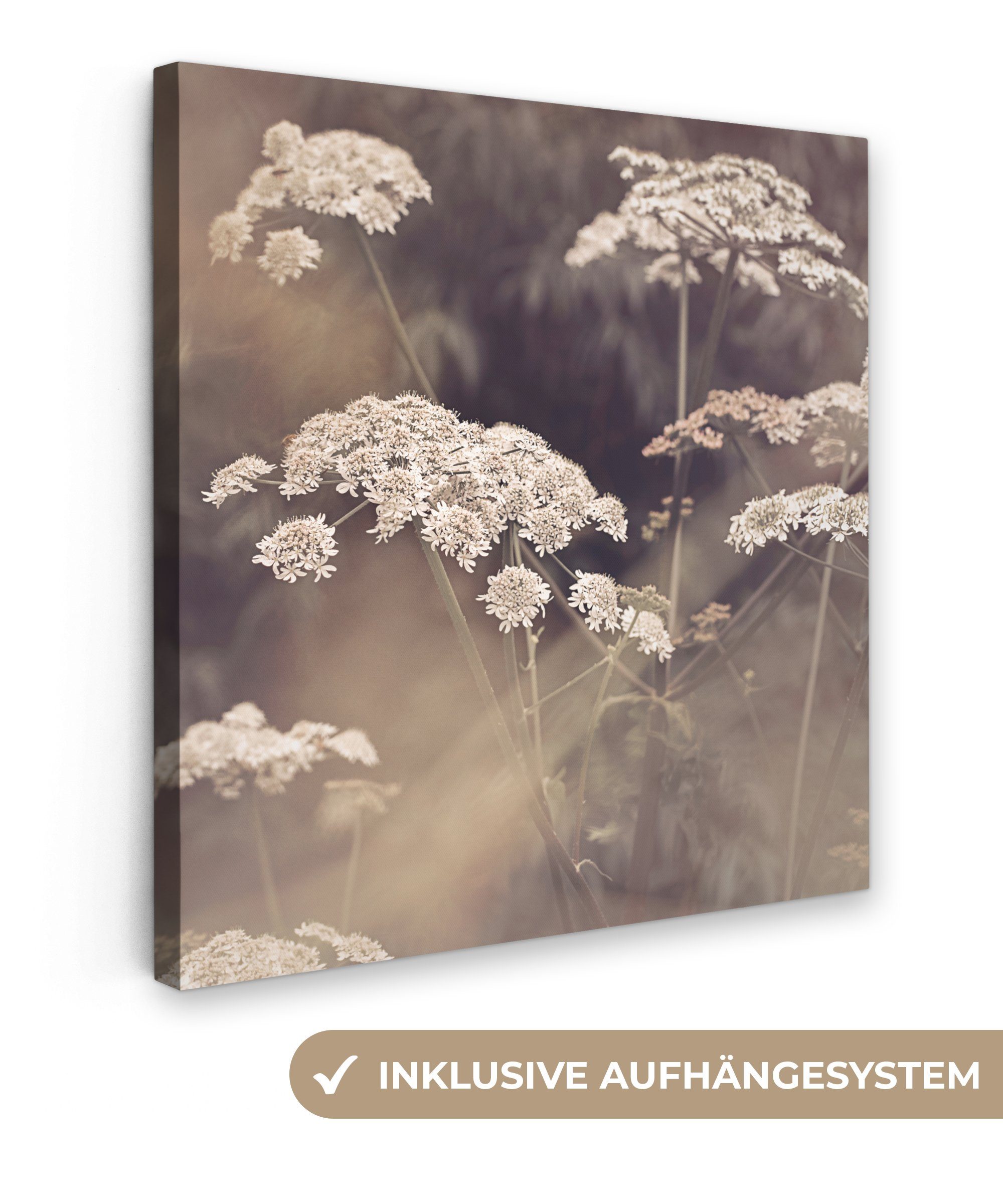 OneMillionCanvasses® Leinwandbild Pflanze - Weiß - Natur - Blumen, (1 St), Leinwand Bilder für Wohnzimmer Schlafzimmer