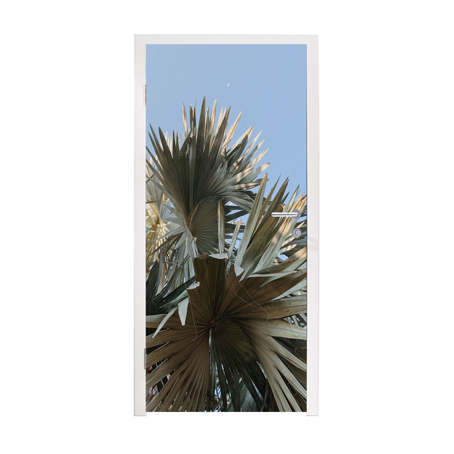 MuchoWow Türtapete Palme - Blätter - Tropisch - Sommer, Matt, bedruckt, (1 St), Fototapete für Tür, Türaufkleber, 75x205 cm