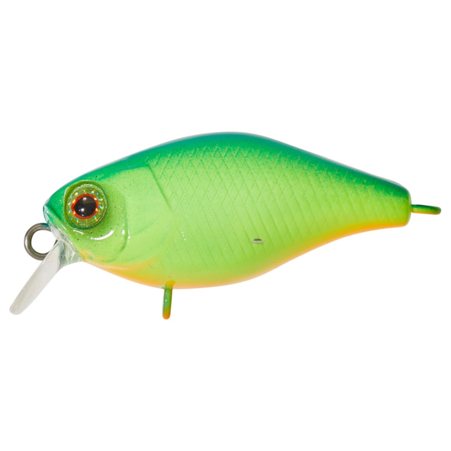 Blue Back Chartreuse