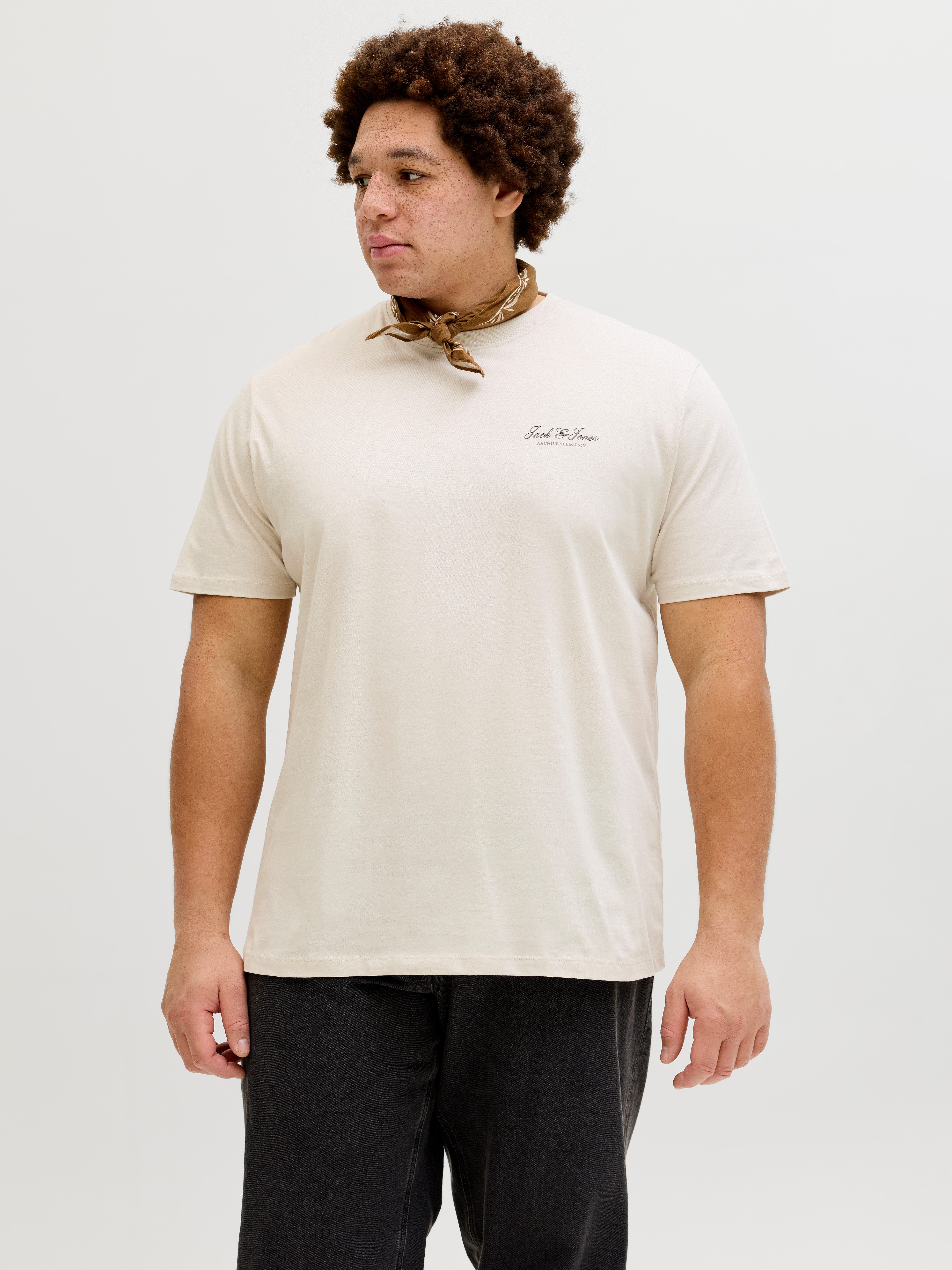 Rundhalsshirt JJEARCHIVE GRAPHIC TEE SS O-NECK PLS