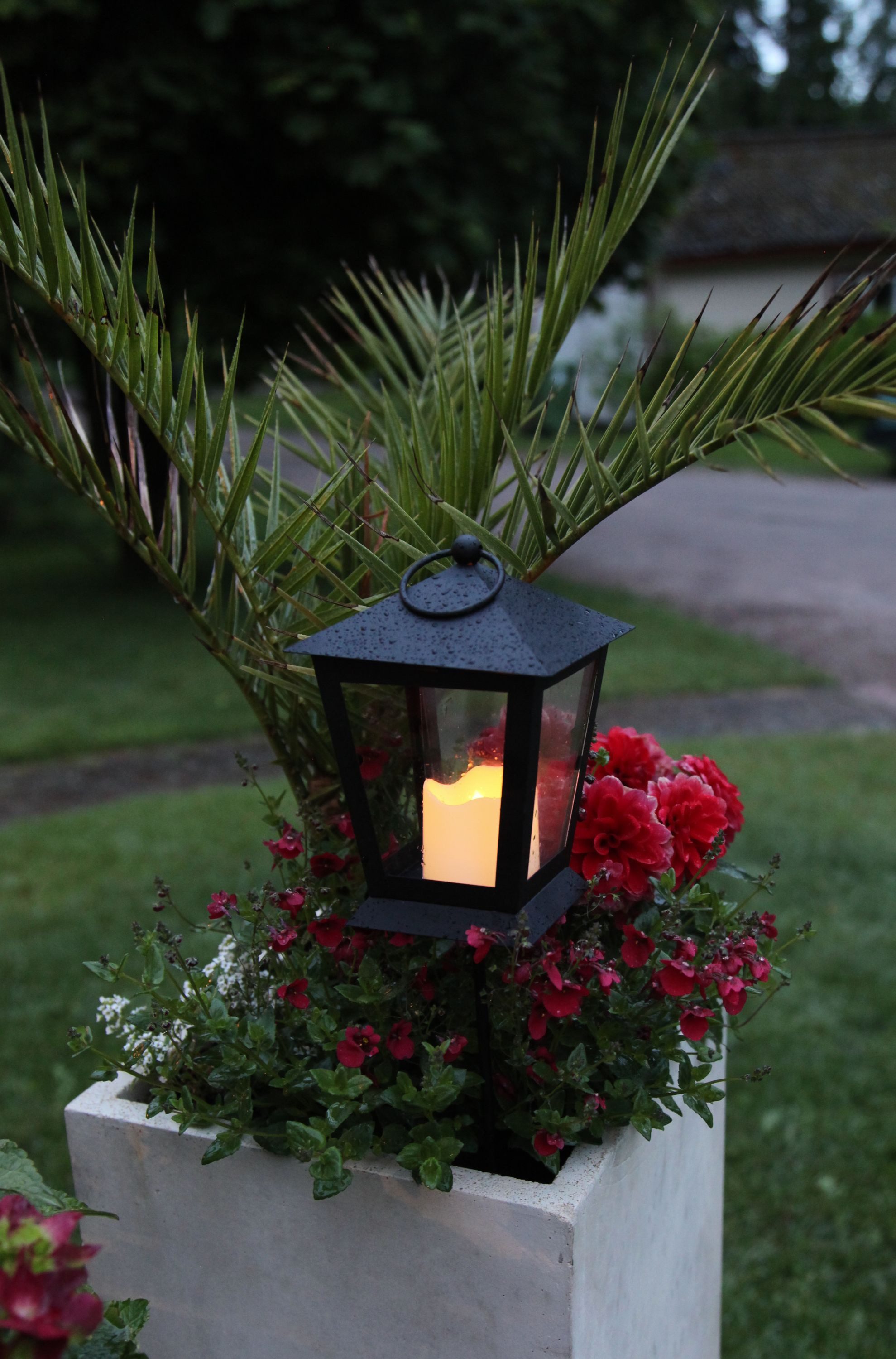 STAR TRADING LED Laterne LED-Laterne"Serene", schwarz, 1 LED-Kerze,40cm günstig online kaufen