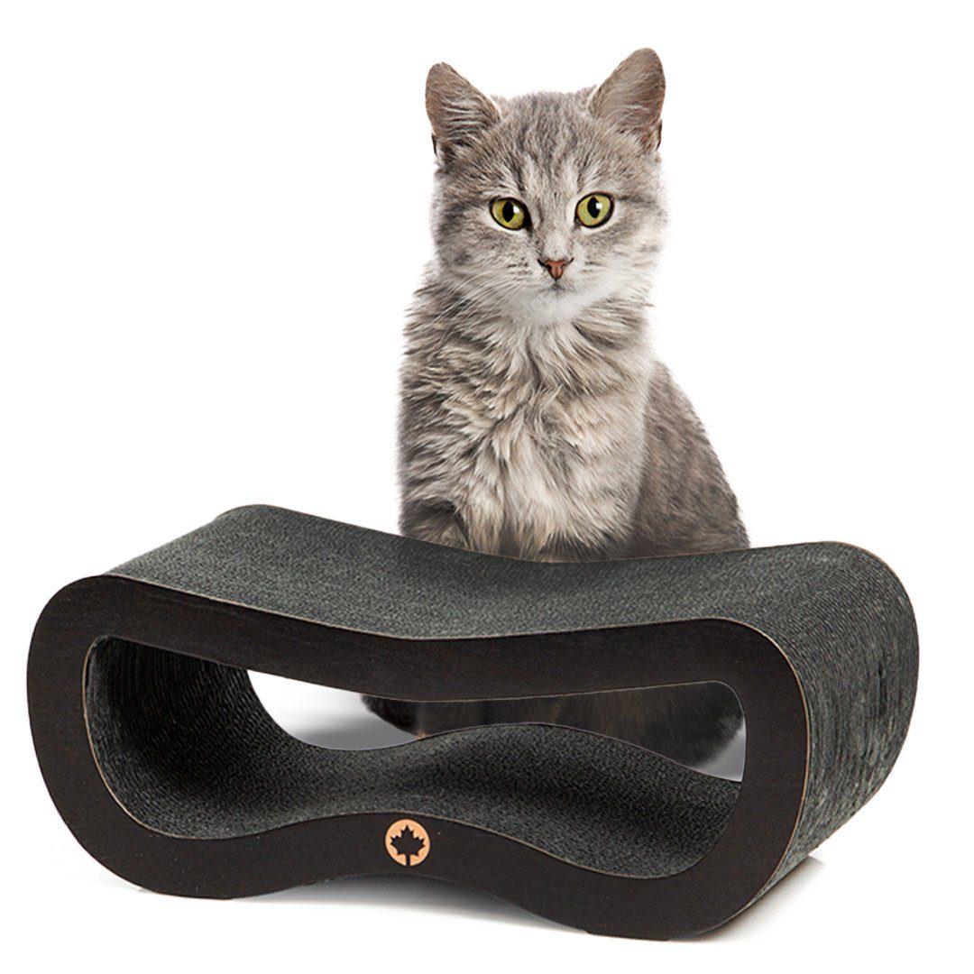 Canadian Cat Company Kratzpappe Orbit Small, Kratzpappe inkl. feinster Katzenminze, ca. 45 x 18 x 23 cm