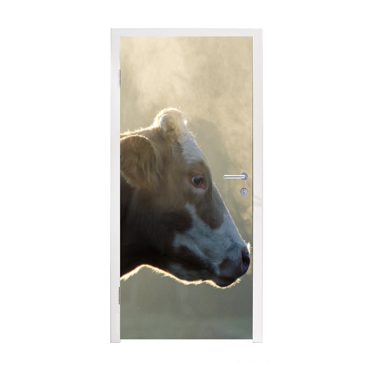 MuchoWow Türtapete Kuh - Nebel - Sonne, Matt, bedruckt, (1 St), Fototapete für Tür, Türaufkleber, 75x205 cm