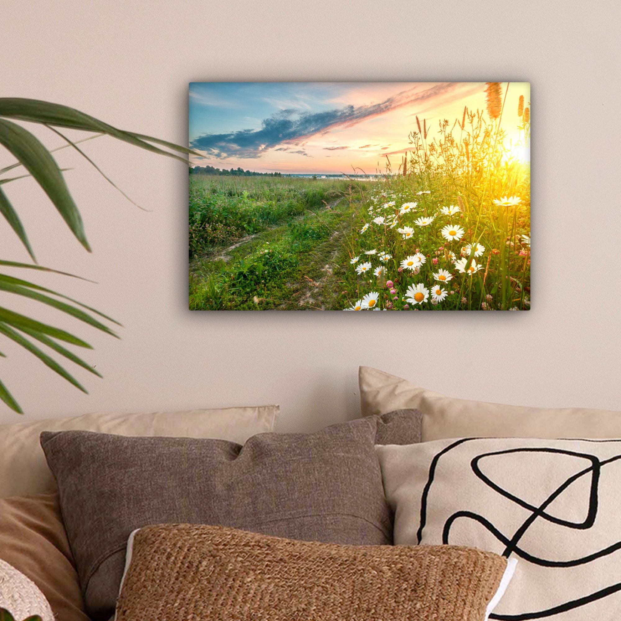 OneMillionCanvasses® Leinwandbild Blumen - Gänseblümchen - Natur - Sonne - günstig online kaufen