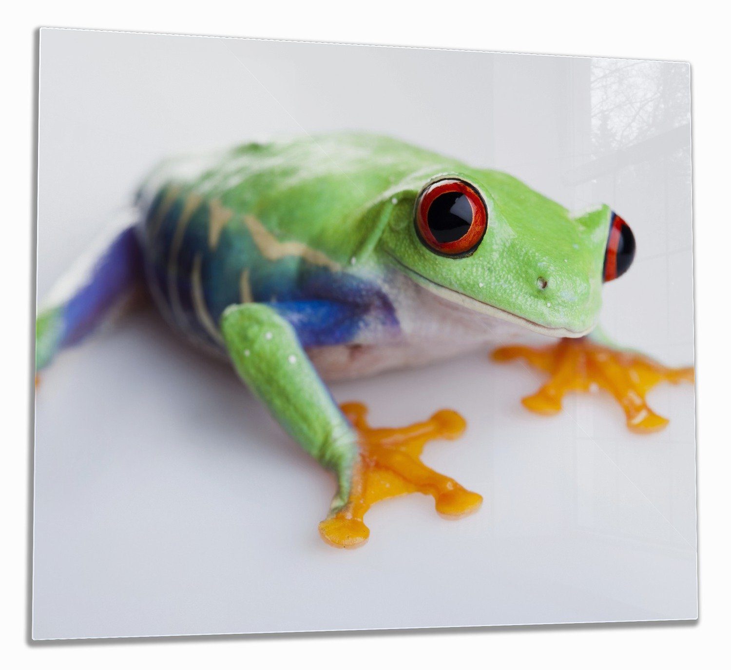Wallario Herd-Abdeckplatte Lustiger Frosch in grün und orange, ESG-Sicherheitsglas, (Glasplatte, 1 tlg., inkl. 5mm Noppen), verschiedene Größen