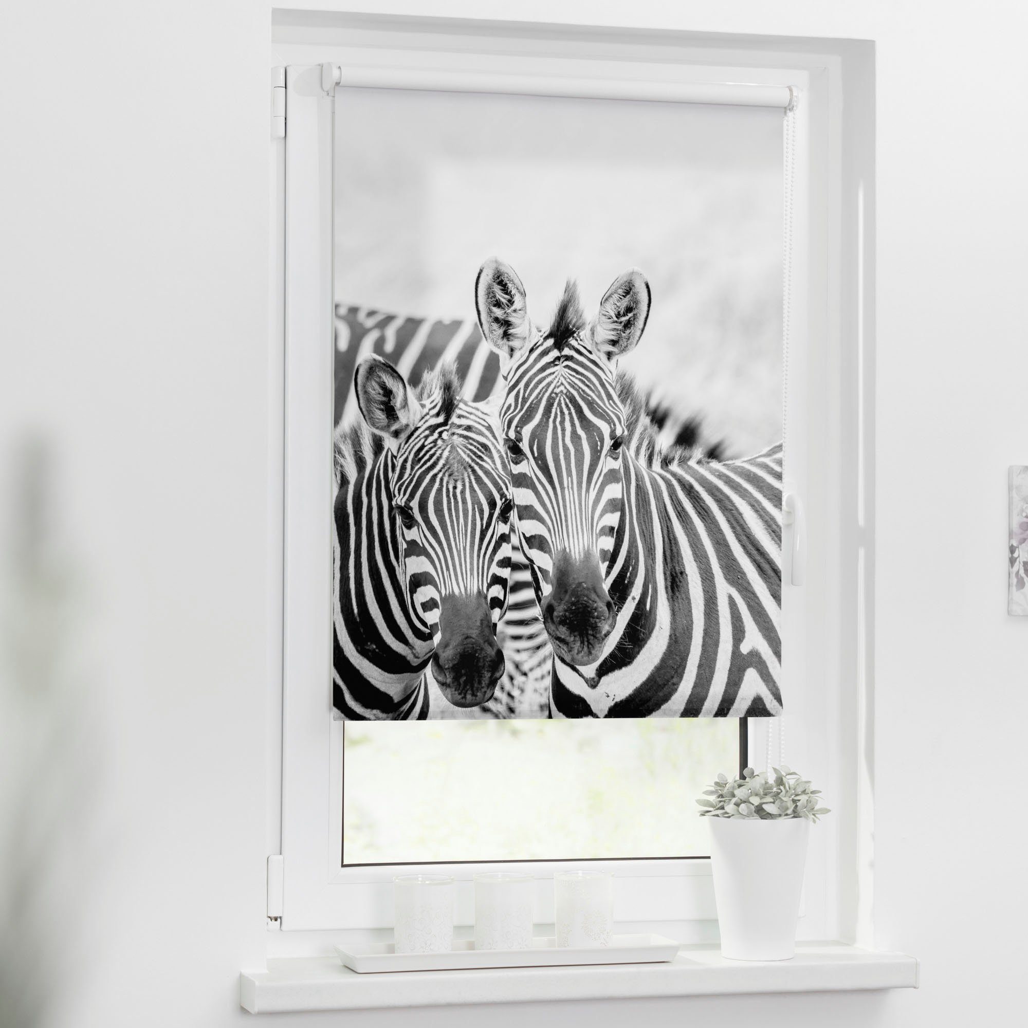 Klemmfix Bohren, Seitenzugrollo freihängend, bedruckt Lichtschutz, Klemmfix, ohne Motiv Zebra, ORIGINAL, LICHTBLICK