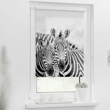 Seitenzugrollo Klemmfix Motiv Zebra, LICHTBLICK ORIGINAL, Lichtschutz, ohne Bohren, freihängend, Klemmfix, bedruckt