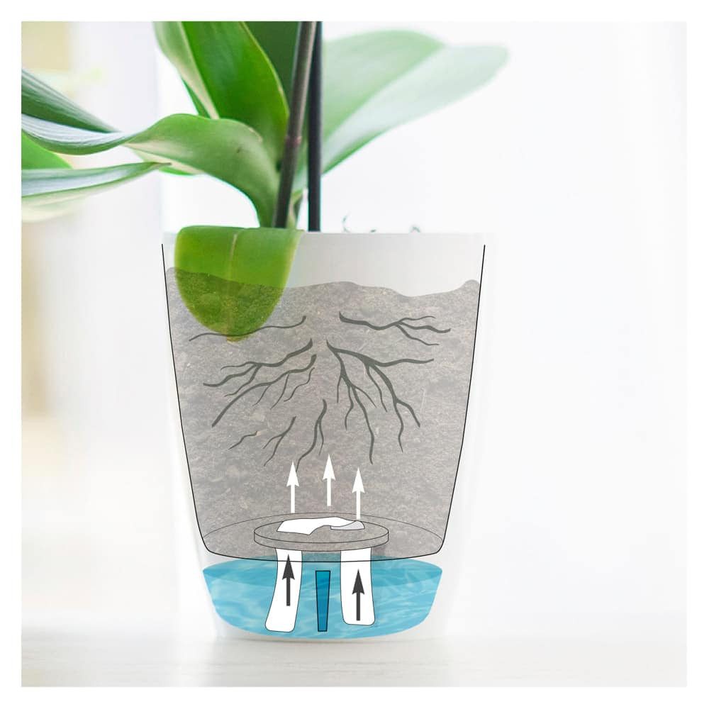 Happy plants Blumentopf Orchideentopf Orchidea Twin günstig online kaufen