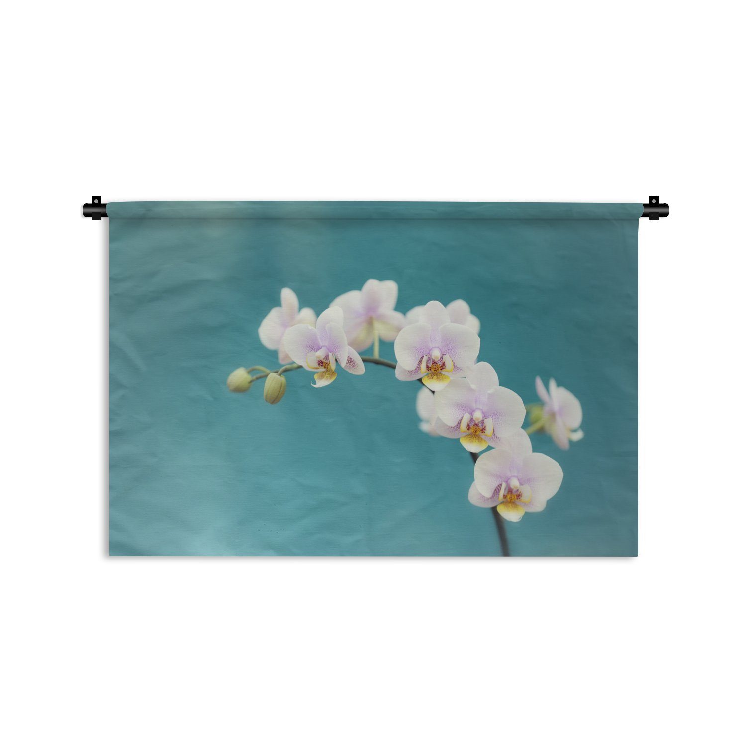 MuchoWow Wanddekoobjekt Orchidee - Blumen - Pflanze - Weiß - Lila, Wanddeko für Wohnzimmer, Schlafzimmer, Kleid, Wandbehang, Kinderzimmer