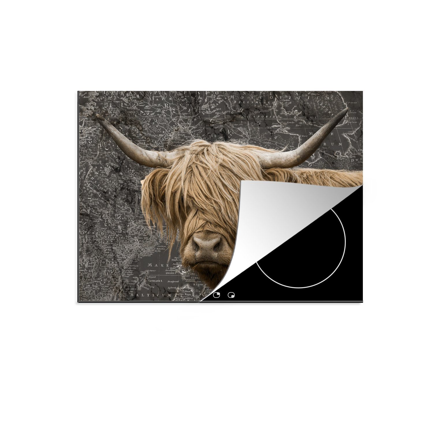 MuchoWow Herdblende-/Abdeckplatte Weltkarte tlg), für (1 cm, - Highlander, Tiere Vinyl, 71x52 die Schottischer Ceranfeldabdeckung küche, Induktionskochfeld - Schutz