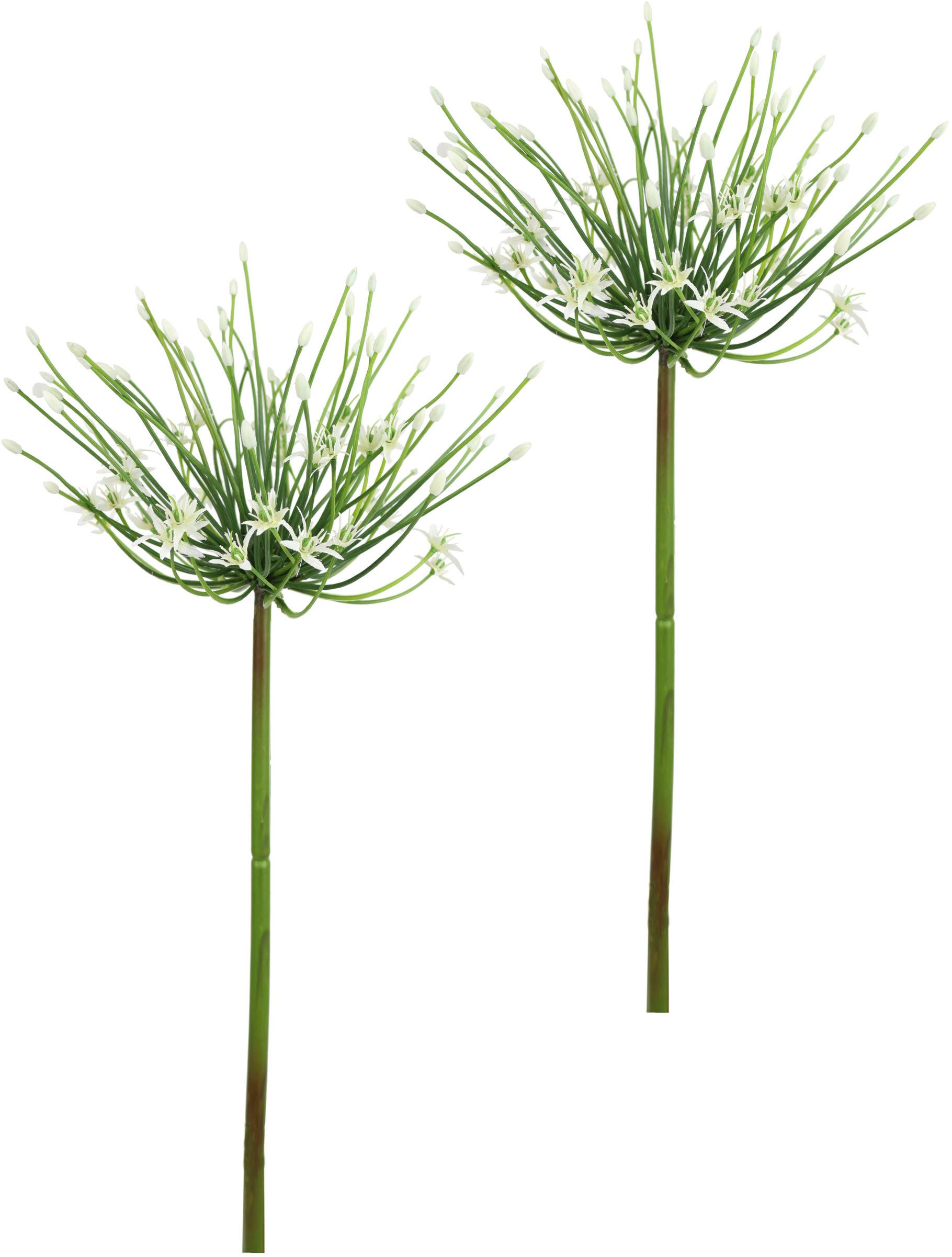 Kunstblume Allium Zierlauch