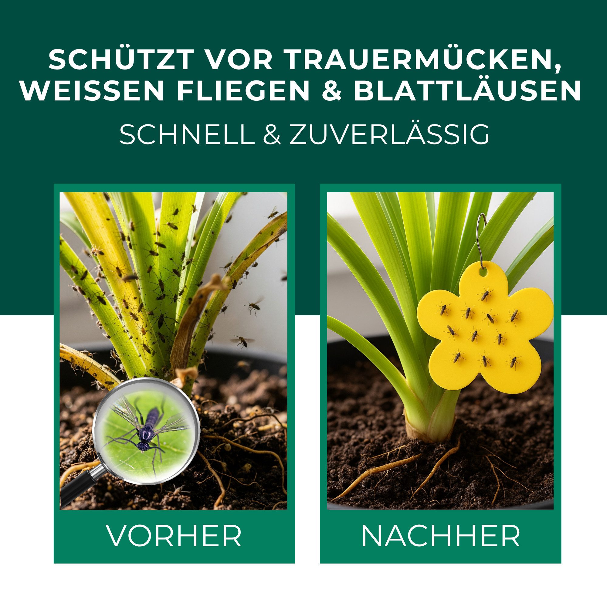 Thumbnail - Silberkraft Insektenfalle Gelbfalle 12 Stück – Giftfreie Insektenfalle für Pflanzen & Küche, Gelbtafeln gegen Trauermück...