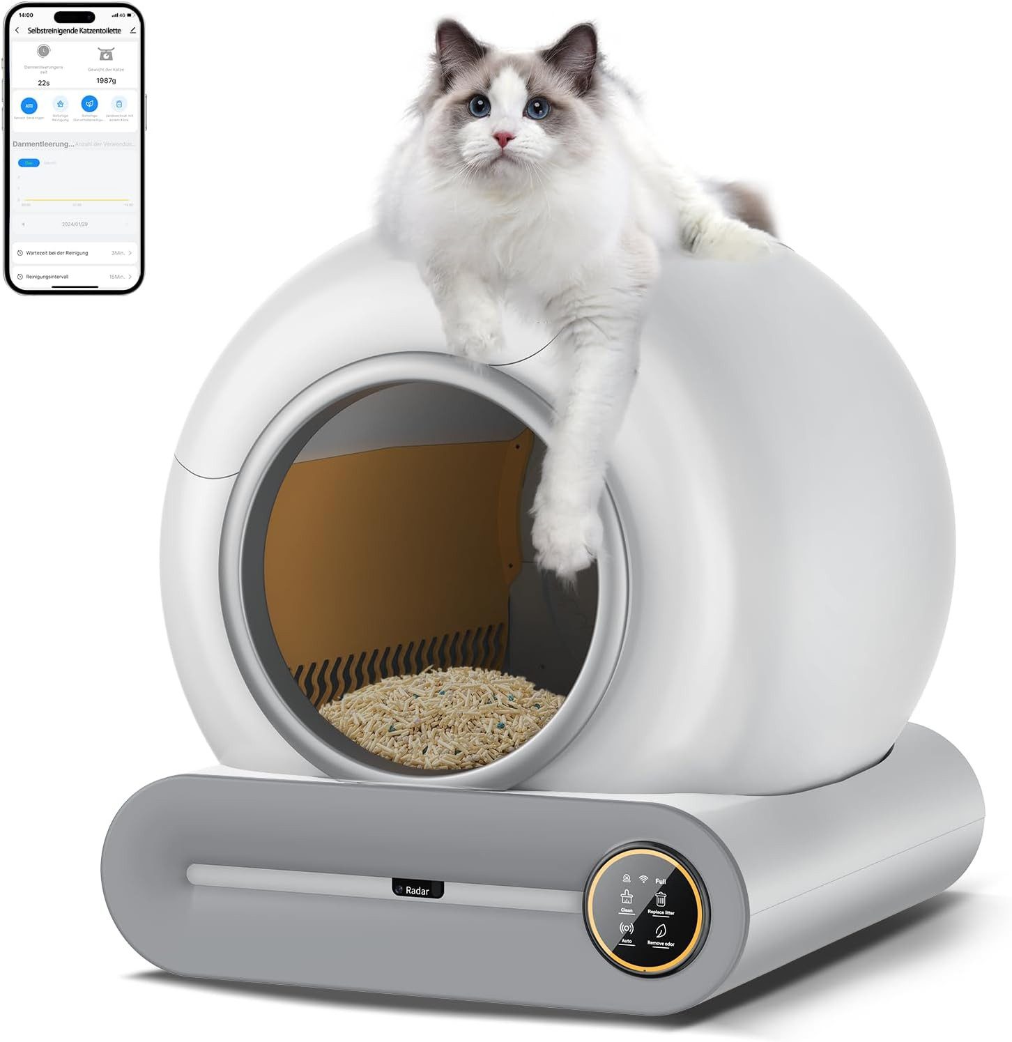 Katzentoilette Katzentoilette Automatische selbstreinigende