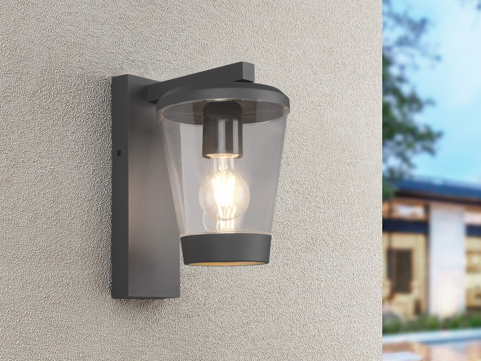 TRIO Leuchten LED Außen-Wandleuchte, LED wechselbar, günstig online kaufen