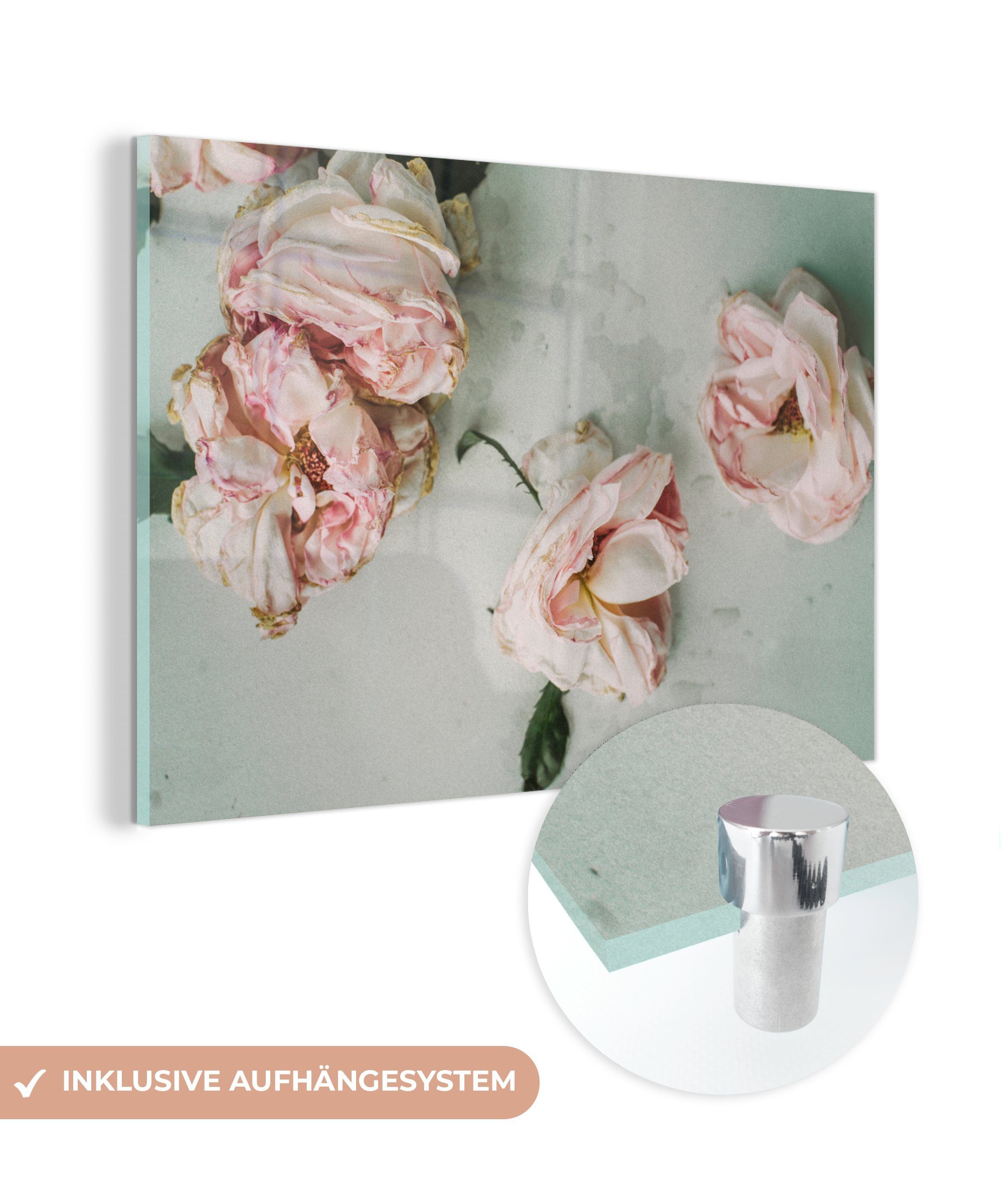MuchoWow Acrylglasbild Rosen - Blumen St), Getrocknete Acrylglasbilder Blumen, Wohnzimmer & (1 - Schlafzimmer