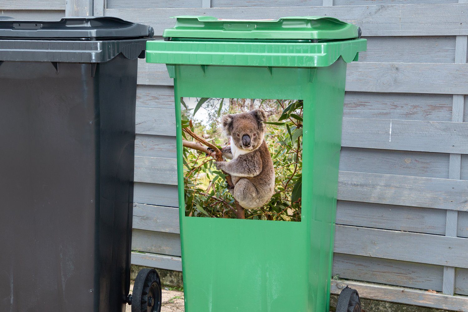 MuchoWow Wandsticker Koala Jungen (1 Mädchen - Abfalbehälter St), Kinder - Sticker, Blätter - - Container, Mülltonne, Mülleimer-aufkleber