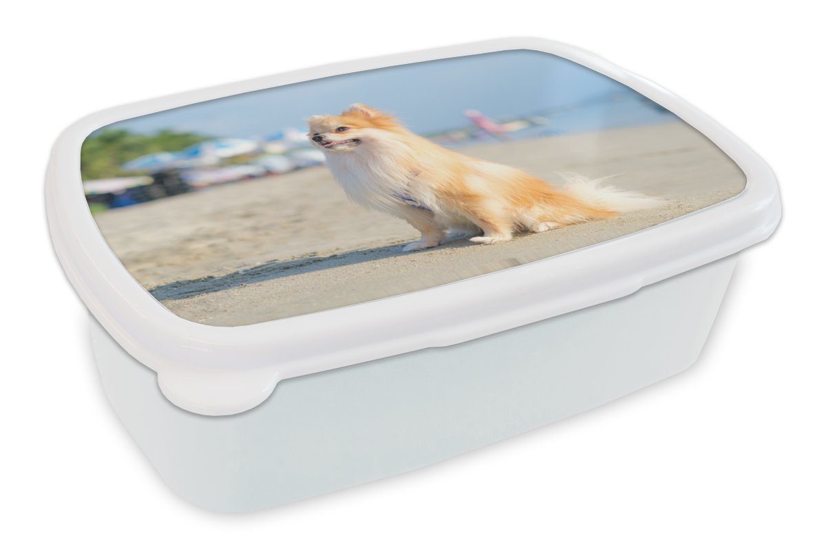 MuchoWow Lunchbox Mädchen Brotdose, und Erwachsene, weiß Brotbox Kinder und (2-tlg), Jungs Pomeranian Kunststoff, für am Strand, für