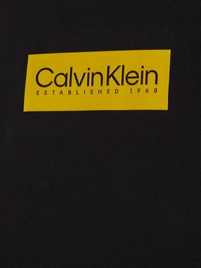 Calvin Klein Sweatshirt RAISED RUBBER LOGO SWEATSHIRT