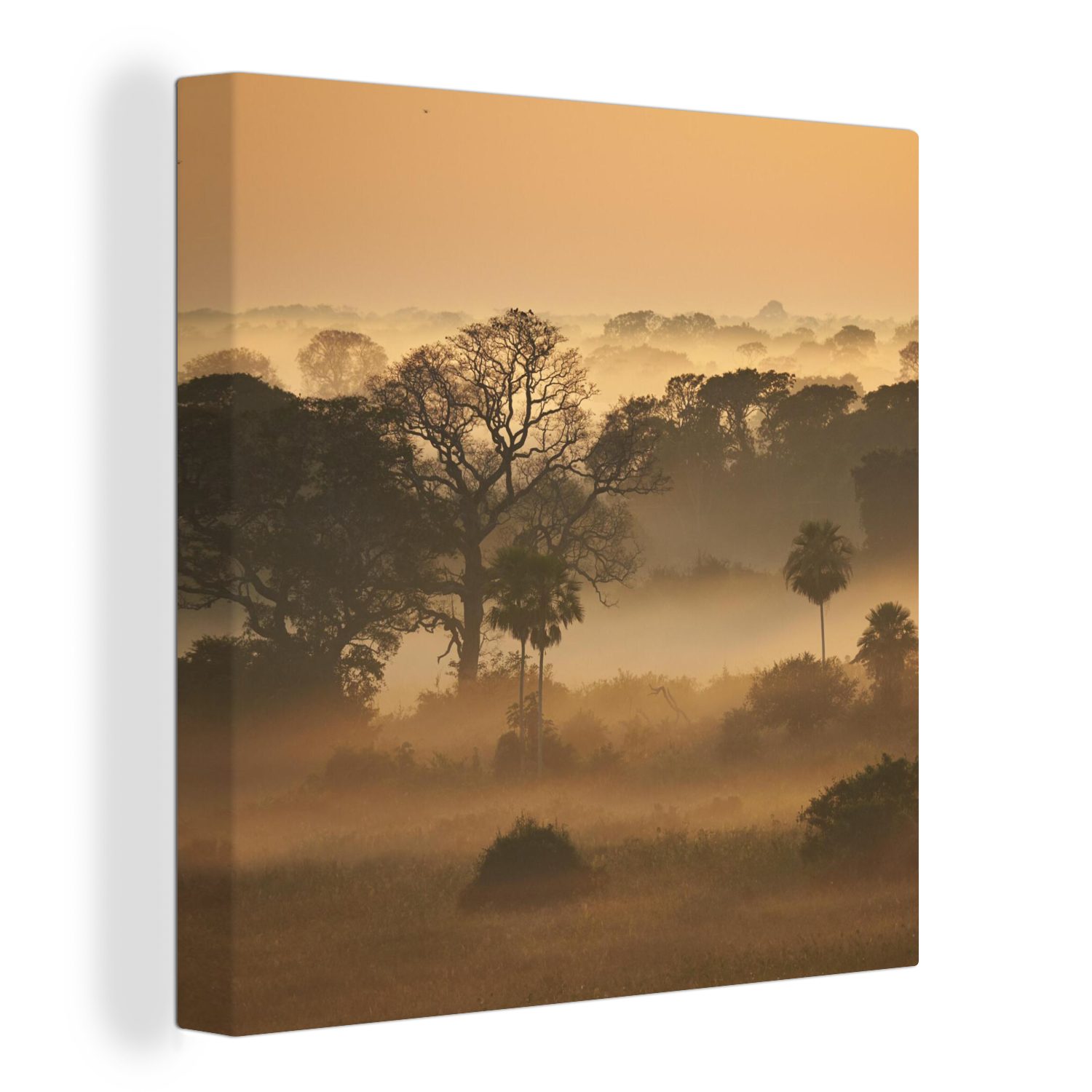 OneMillionCanvasses® Leinwandbild Grasland im im St), Wohnzimmer Pantanal, (1 Morgennebel Bilder Leinwand Schlafzimmer für
