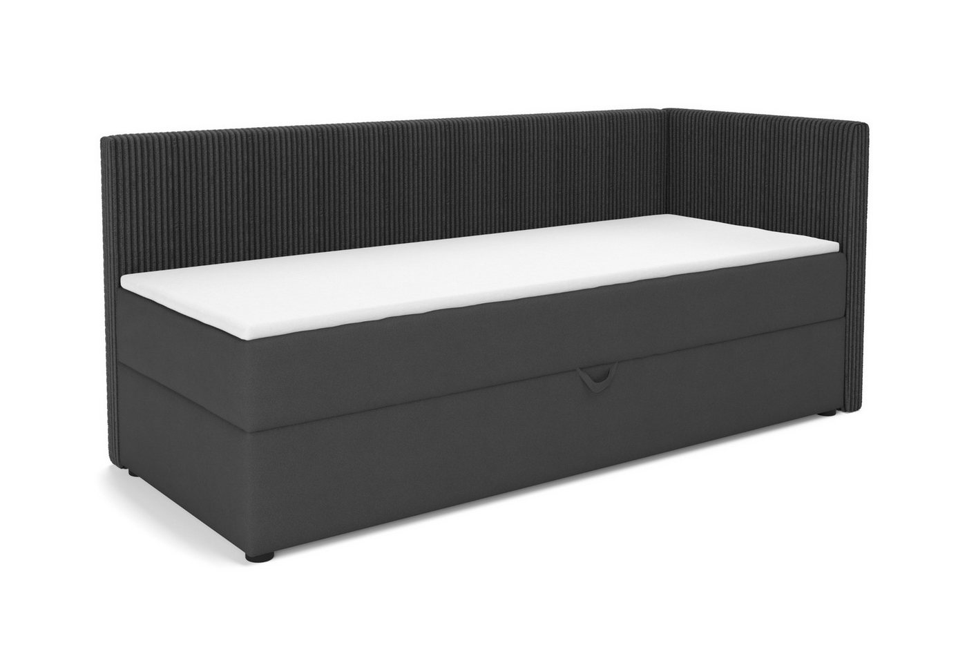 Deine Möbel 24 Boxspringbett RICO Boxbett mit Bettkasten, Tagesbett mit Schlaffunktion, Schlafsofa (ideal für Jugendliche & Erwachsene, 1-St., Modernes 2-in-1 Design Schlafsofa & Bett), 90x200 100x200 Schwarz Grau Rosa Beige Ecru Anthrazit Cord Velour