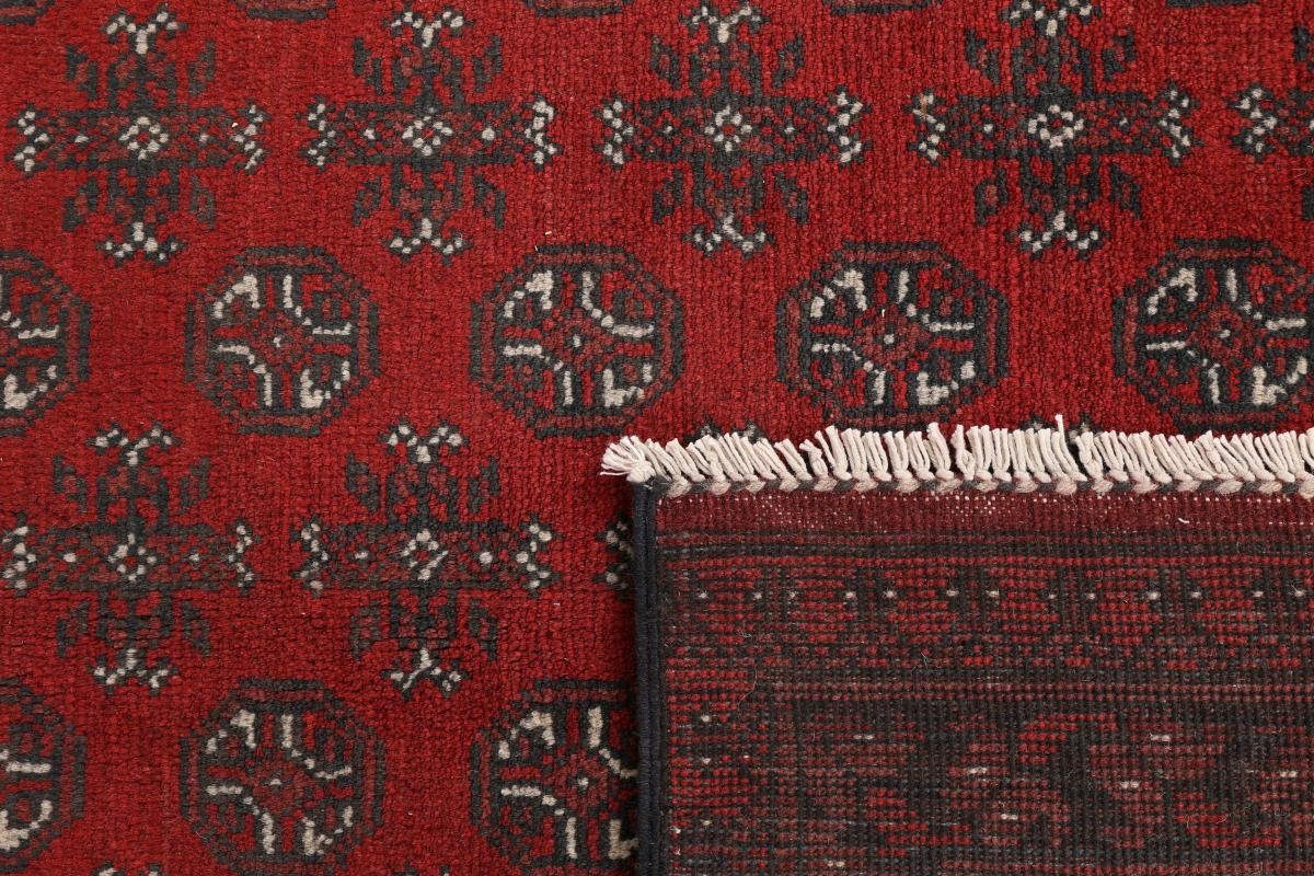 Nain mm Orientteppich, Trading, Akhche Afghan Orientteppich Höhe: Handgeknüpfter rechteckig, 6 196x283
