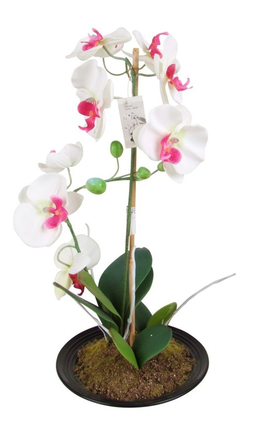Kunstpflanze Künstliche Orchidee 2 Rispen Weiß/Pink 50cm Kunstblume Phalaenopsis