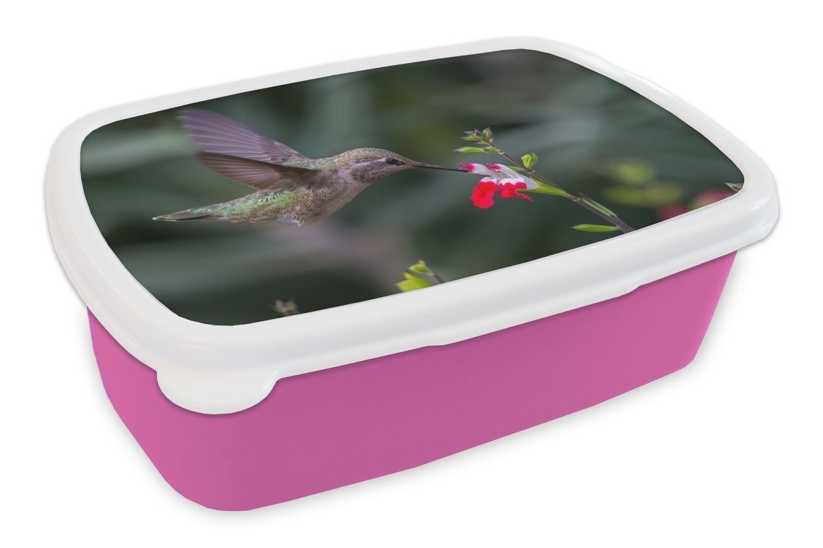 MuchoWow Lunchbox Kolibri - Blume Brotbox Kinder, Erwachsene, Snackbox, - für Kunststoff, Brotdose rosa Rot, Kunststoff Mädchen, (2-tlg)