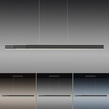 Paul Neuhaus LED Pendelleuchte Pure-Lume, Höhenverstellung, ausziehbar, Sensordimmer, Memory-Funktion, CCT-Farbtemperatursteuerung, LED fest integriert, Kaltweiß, Warmweiß, Up-/Downlight, modern-minimalistisch, in Alu oder Schwarz