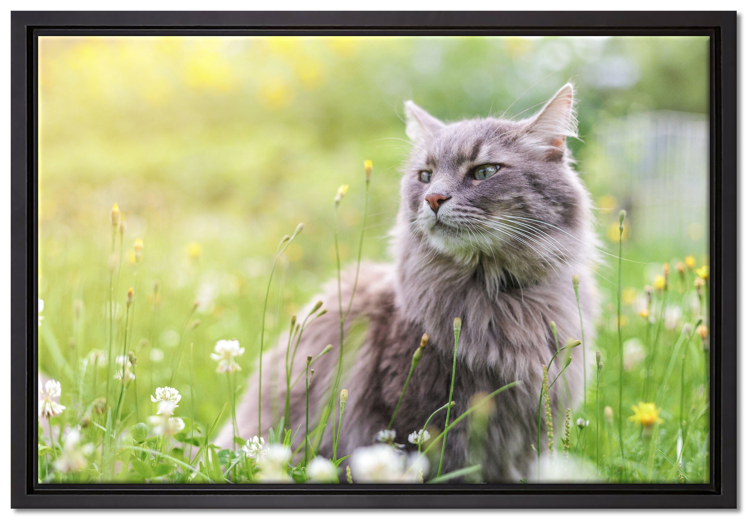 Pixxprint Leinwandbild Katze in der Wildnis, Wanddekoration (1 St), Leinwandbild fertig bespannt, in einem Schattenfugen-Bilderrahmen gefasst, inkl. Zackenaufhänger