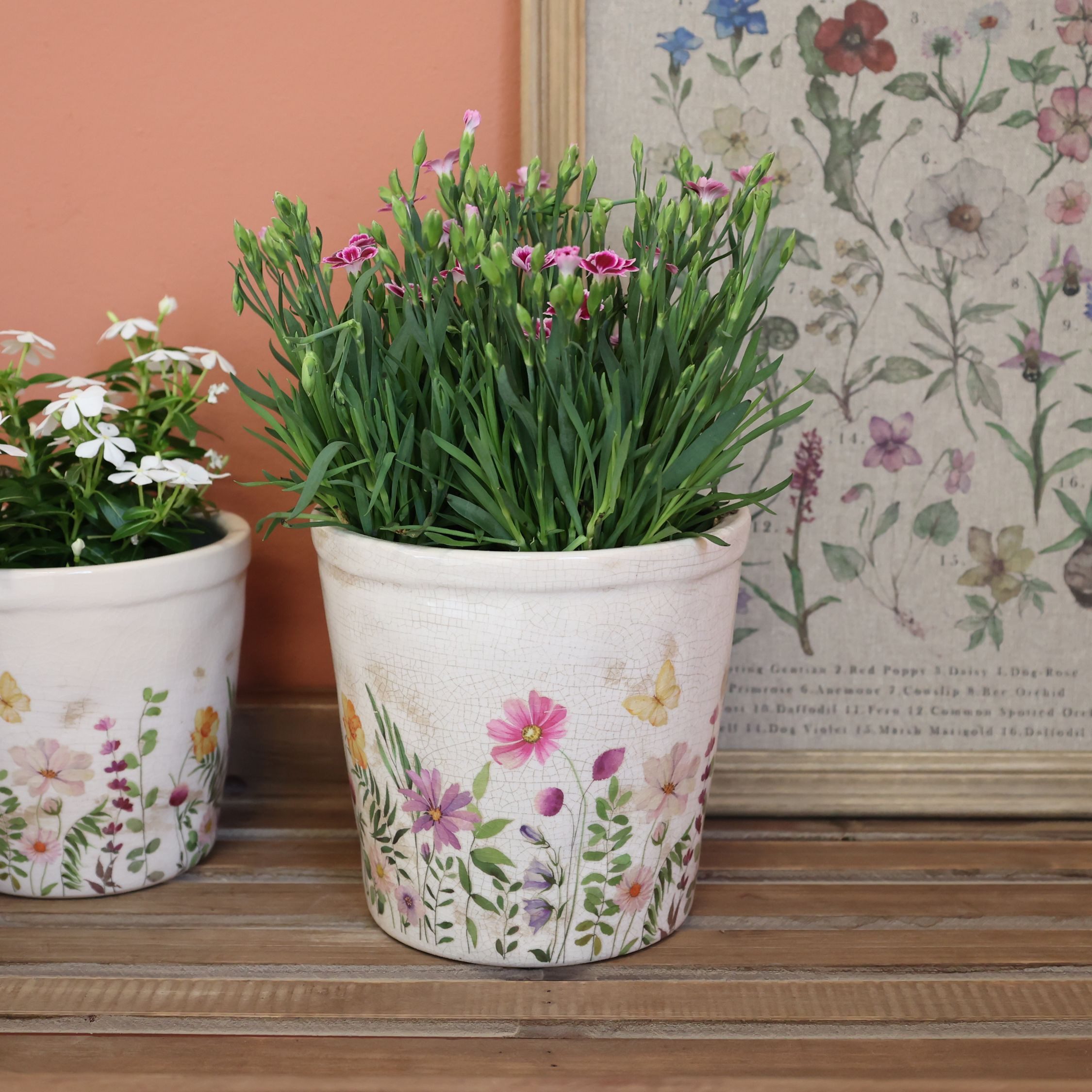 Annimuck Übertopf Chic Antique Avignon Blumentopf günstig online kaufen