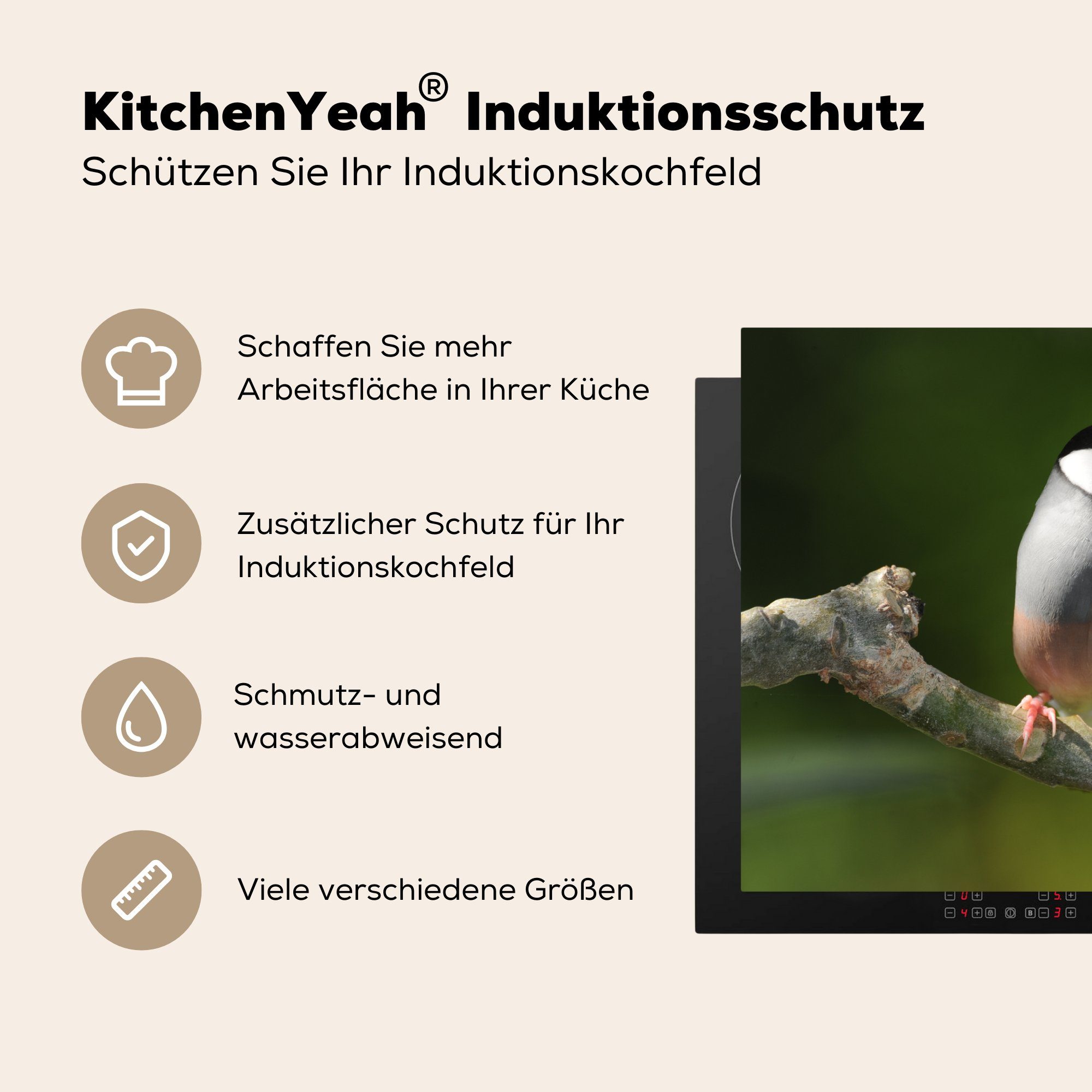 sitzt Herdblende-/Abdeckplatte Vinyl, auf Ceranfeldabdeckung Induktionskochfeld eines Reisvogel cm, für die tlg), küche, MuchoWow (1 Schutz Ast 81x52 einem Plumaria-Baumes,