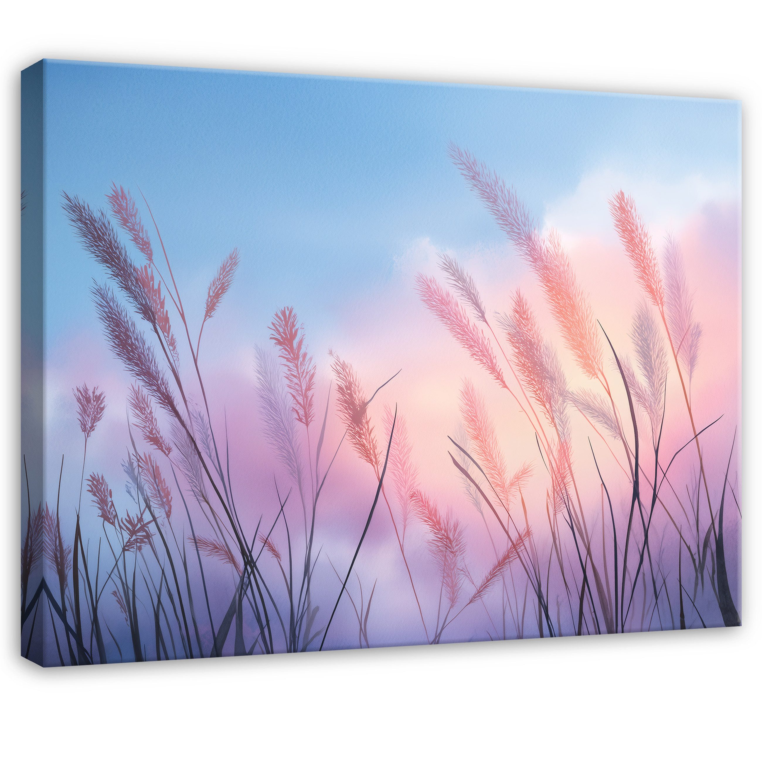 Wallarena Leinwandbild Pampasgras Natur - Rosa - Modern - Schlafzimmer, Gras, 40x30x2cm
