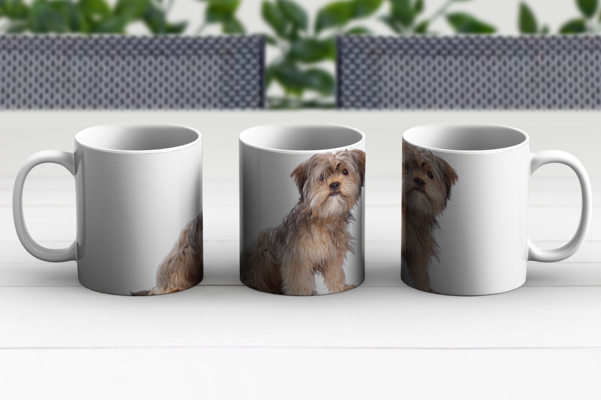 weißen MuchoWow Hund Hintergrund, Tasse auf Geschenk Teetasse, einem Tzu Teetasse, Kaffeetassen, Shih Becher, Keramik,