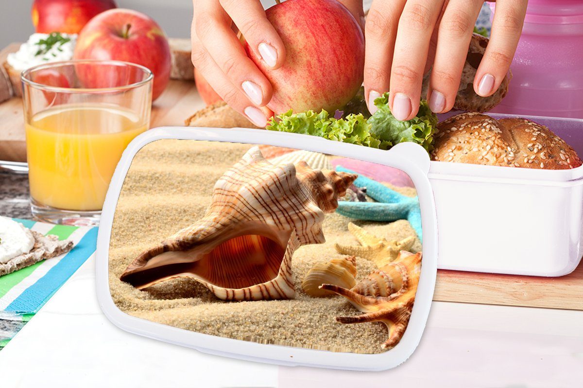 Brotdose, und Strand, weiß MuchoWow Brotbox für Jungs Mädchen Kinder - für - und Seesterne Erwachsene, Lunchbox - Muscheln (2-tlg), Sand Kunststoff,