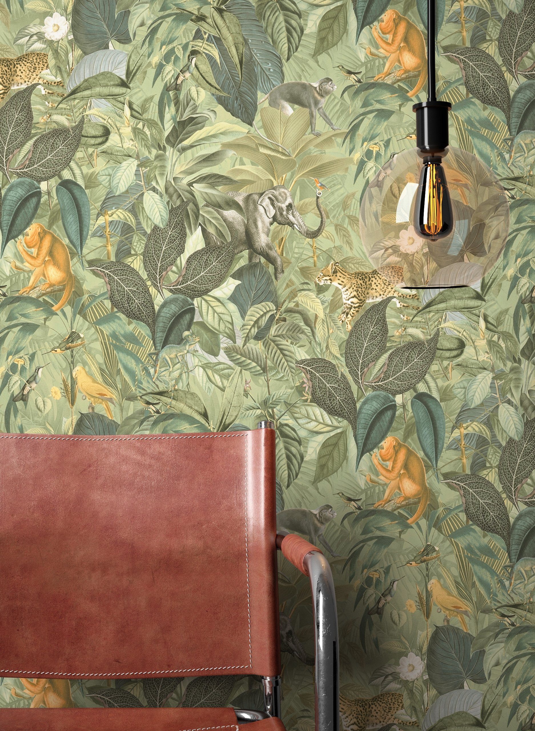 Newroom Vliestapete Zoya Tapete Dschungeltapete Dschungel,Blätter,Monstera, günstig online kaufen