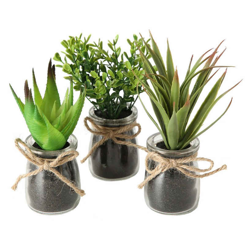 Kunstpflanze Deko Kunstpflanze im Glas - 3er Set Kunstpflanze, Spetebo, Höhe 17.00 cm, Glasvase mit Sukkulenten