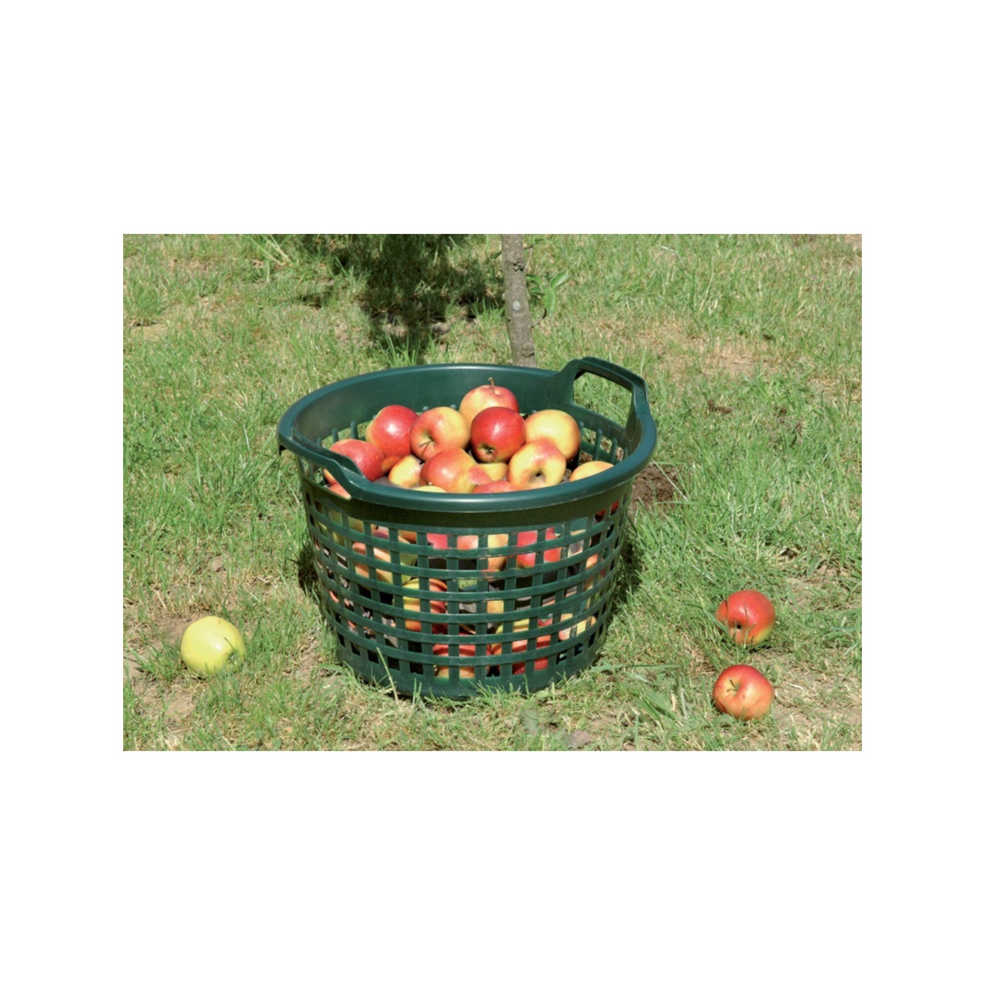 Floraworld Transportwagen floraworld Gartenkorb 15kg rund