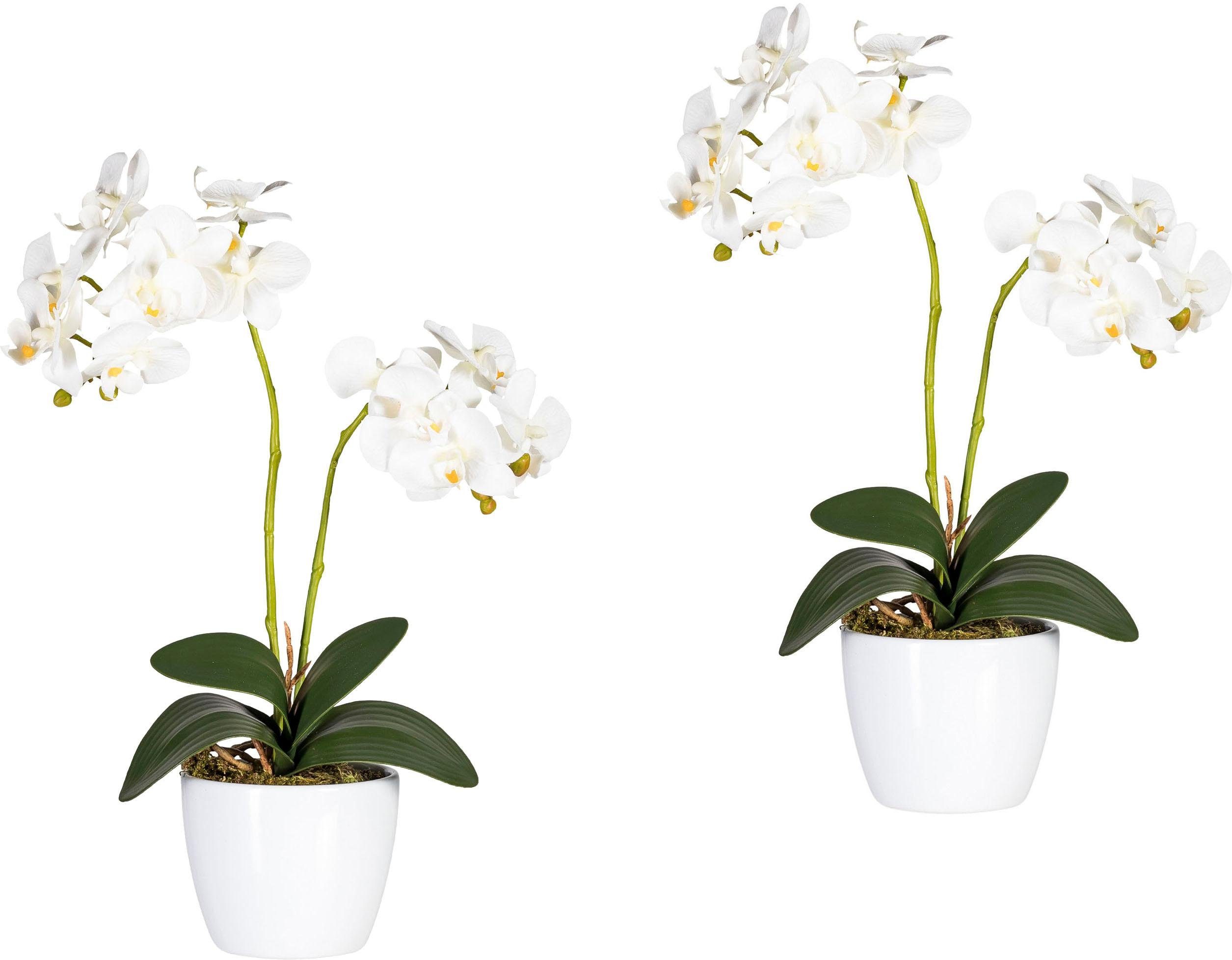 Höhe Phalaenopsis cm Kunstpflanze green, Orchidee, 50 Creativ