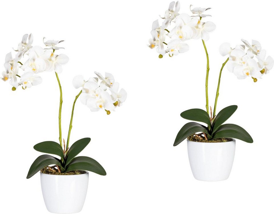 Kunstpflanze Phalaenopsis Orchidee, Creativ green, Höhe 50 cm