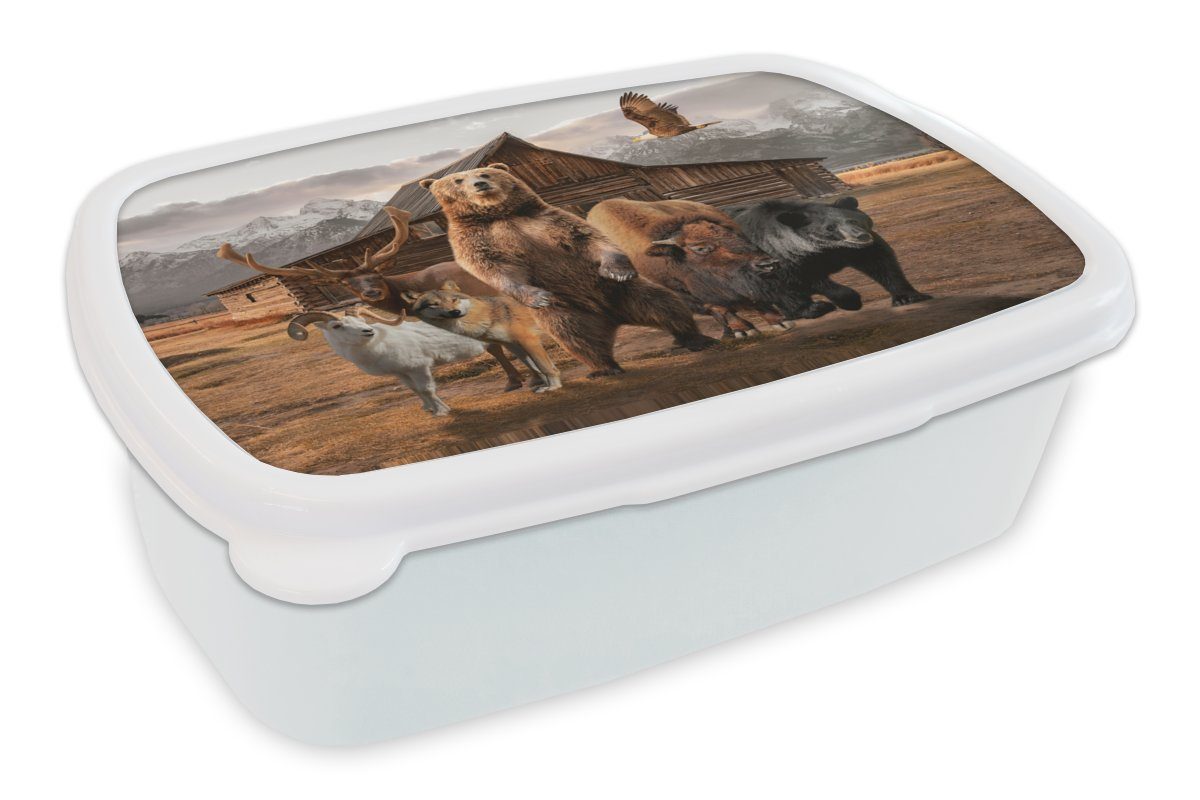 Kunststoff, (2-tlg), Bär Jungs Lunchbox weiß für Erwachsene, - Tiere, Brotdose, Brotbox MuchoWow und Five Mädchen Big für - Kinder und