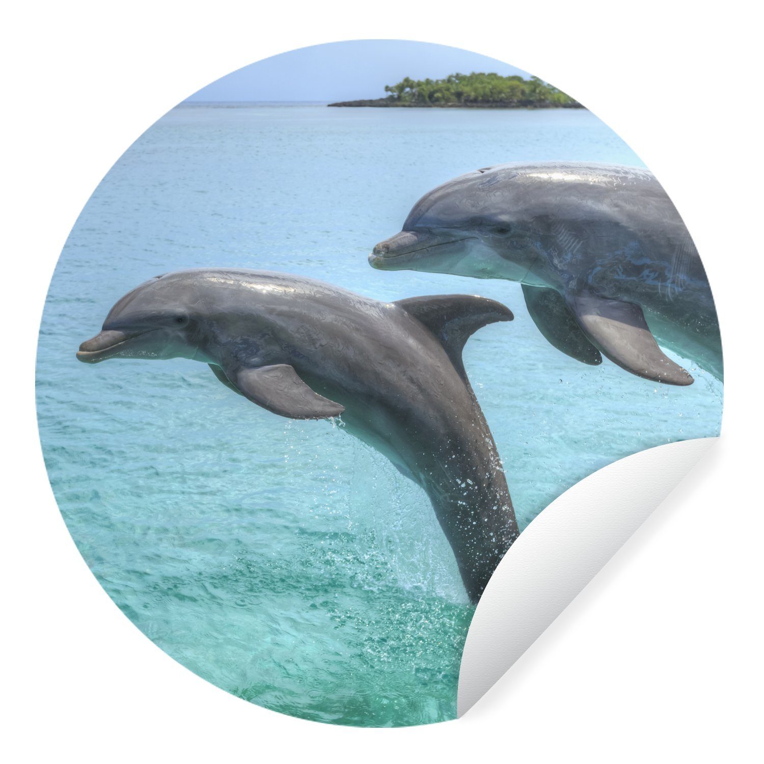 MuchoWow Wandsticker Delfine vor den Bay Islands (1 St), Tapetenkreis für Kinderzimmer, Tapetenaufkleber, Rund, Wohnzimmer
