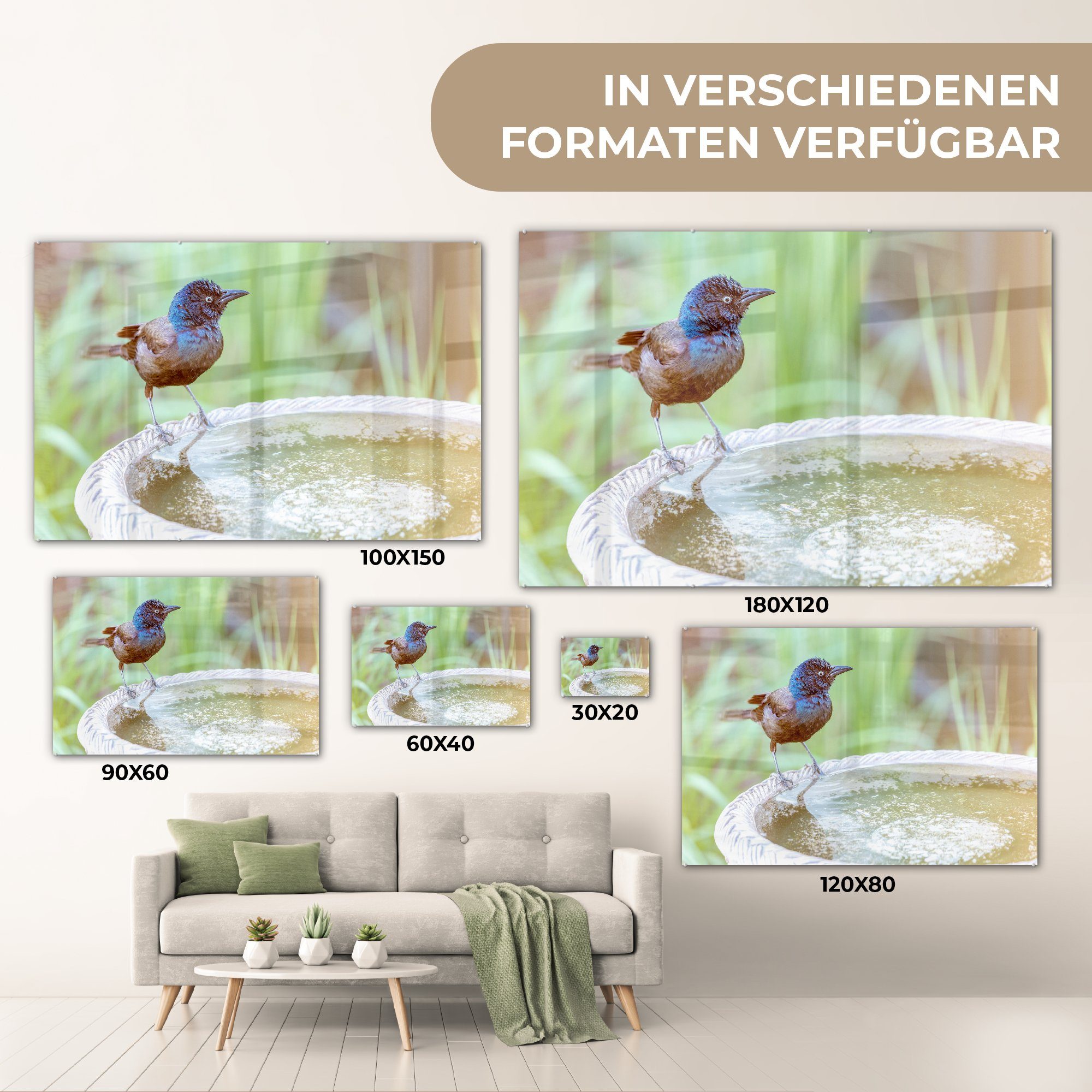 MuchoWow Acrylglasbild Acrylglasbilder - & Amsel St), Wasser, - Vogeltränke Schlafzimmer Wohnzimmer (1
