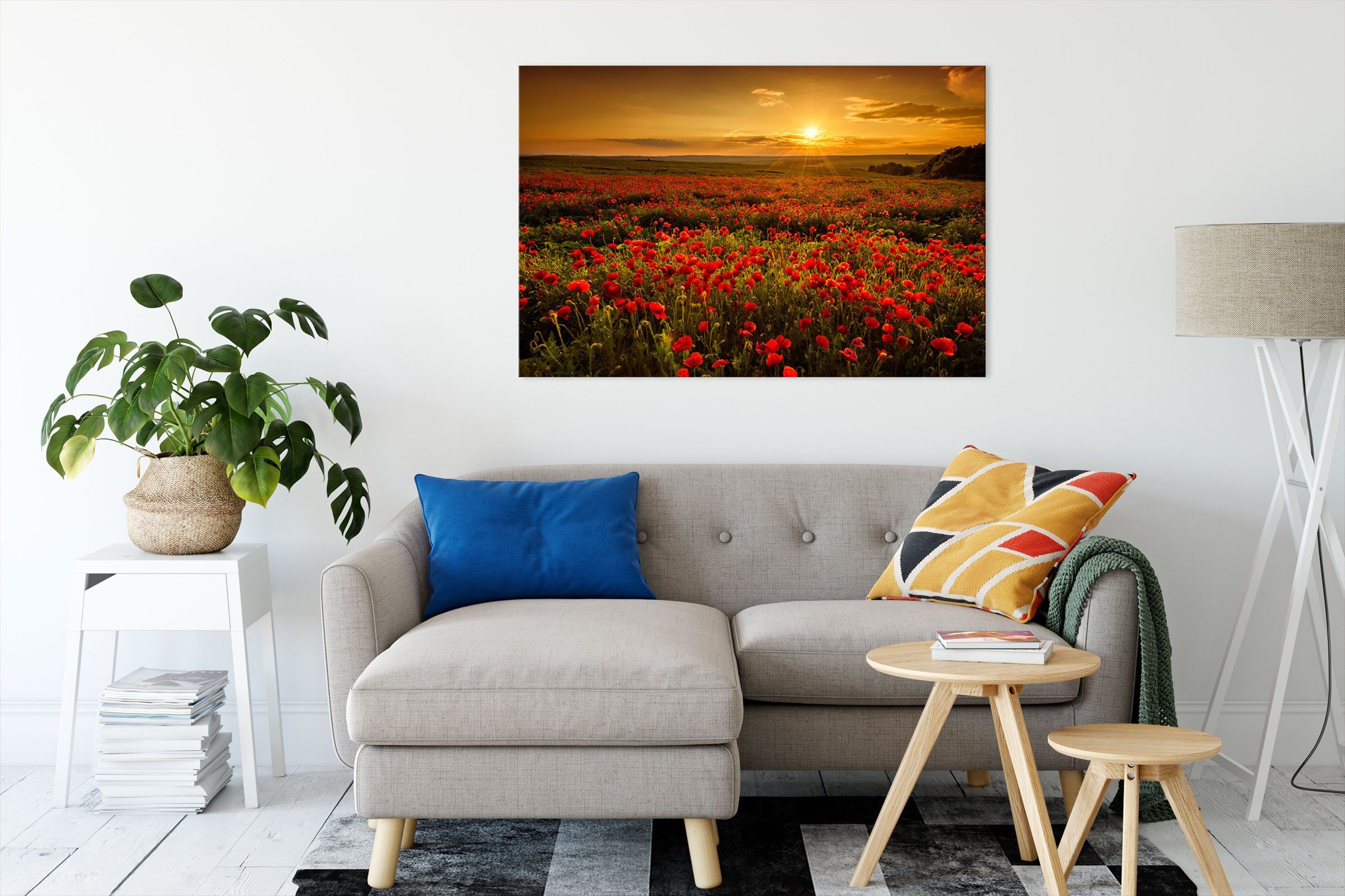 Pixxprint Leinwandbild Mohnblütenfeld bei Sonnenuntergang, Mohnblütenfeld günstig online kaufen