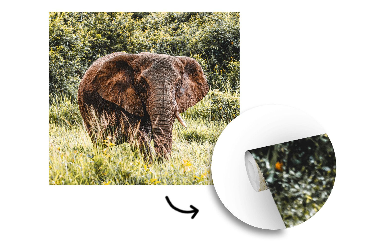 Natur, Fototapete Wandtapete (5 - für Elefant - bedruckt, oder Schlafzimmer, Matt, Wohnzimmer Vinyl Tapete St), Gras MuchoWow
