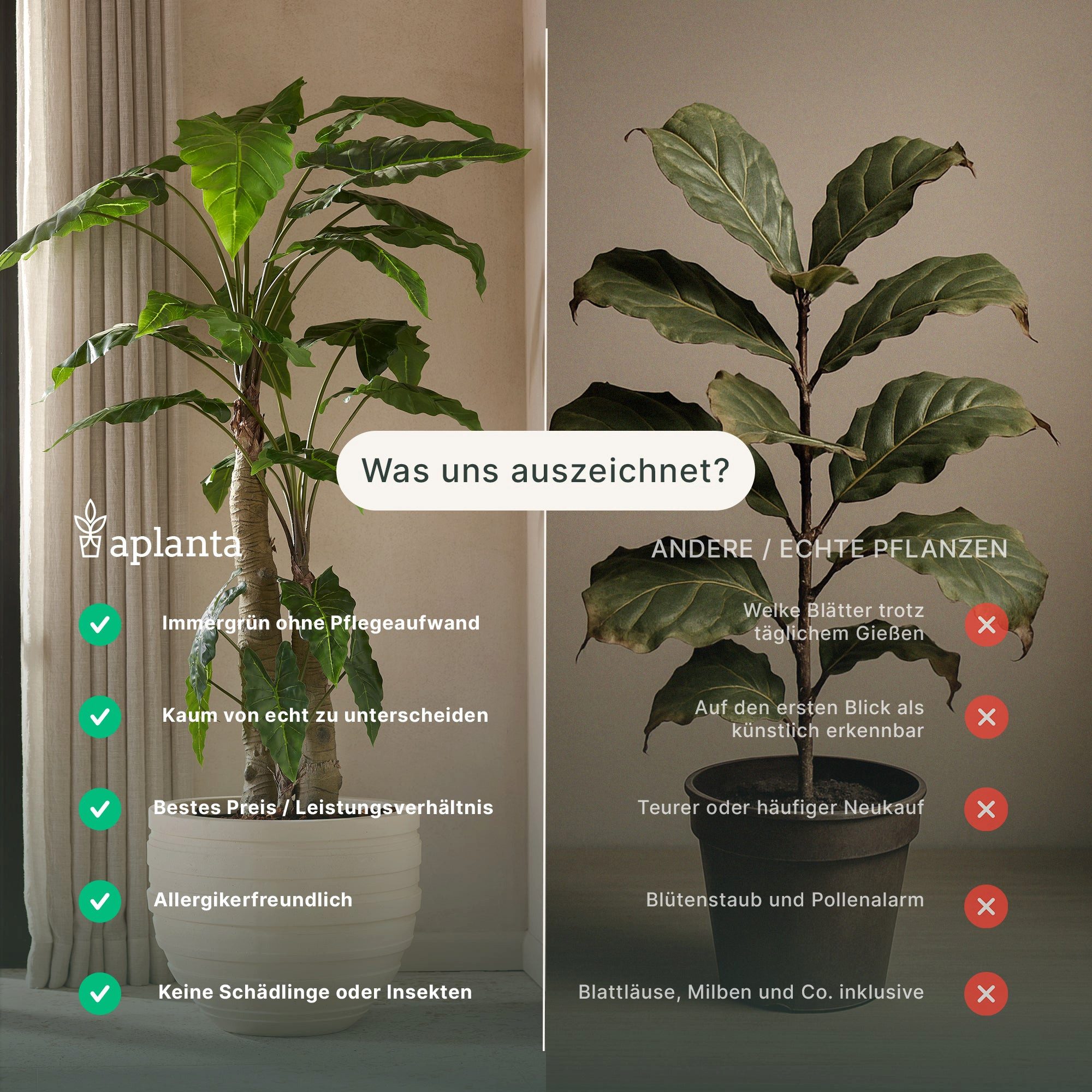 Kunstbaum Künstlicher Eucalyptus Baum - Parla, 150 cm, aplanta