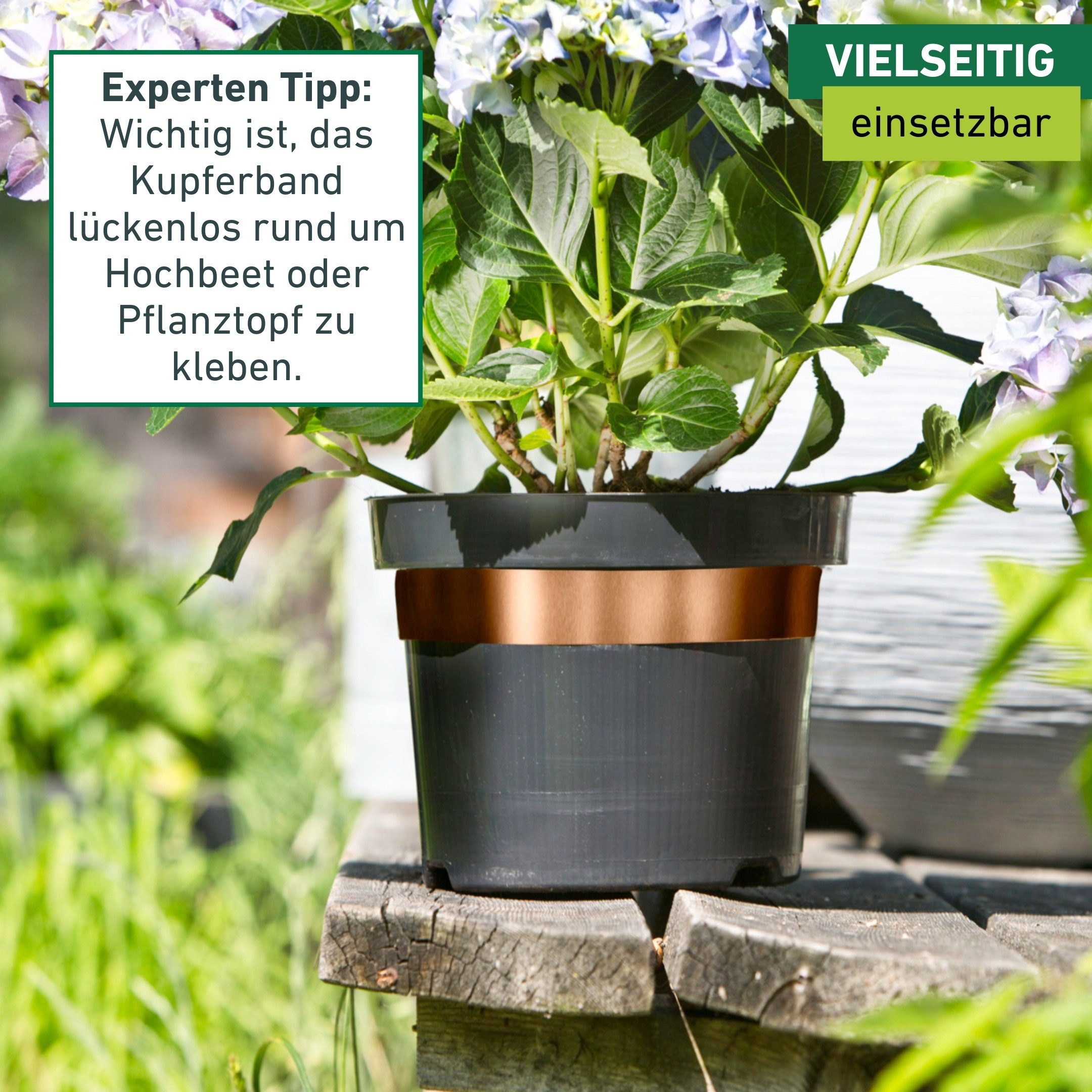 Windhager Schneckenkante aus Kupfer, Schnecken Abwehrband für Hochbeete und Pflanztöpfe, 500x3x0,01 cm, 1-St., Schneckenschutz Tape, erhältlich in 5 cm x 3 m – Bild 3 von 5