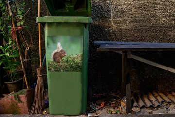 MuchoWow Wandsticker Eichhörnchen - Wald - Moos (1 St), Mülleimer-aufkleber, Mülltonne, Sticker, Container, Abfalbehälter